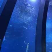 ヒメ日記 2026/03/09 07:14 投稿 れむ Queen Angel(クイーンエンジェル)