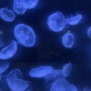 ヒメ日記 2026/03/22 06:41 投稿 れむ Queen Angel(クイーンエンジェル)