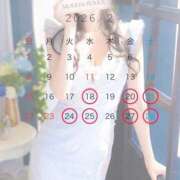 ヒメ日記 2026/02/17 20:01 投稿 レイラ ムーランルージュ