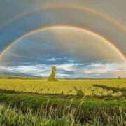 ヒメ日記 2026/03/27 12:28 投稿 あずき 愛姫～ラブひめ～