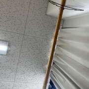 ヒメ日記 2026/03/30 10:42 投稿 あずき 愛姫～ラブひめ～