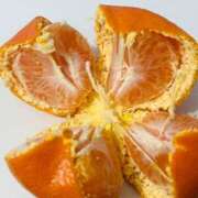 ヒメ日記 2026/04/03 15:14 投稿 あずき 愛姫～ラブひめ～