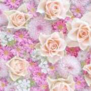 ヒメ日記 2026/04/11 19:57 投稿 あずき 愛姫～ラブひめ～