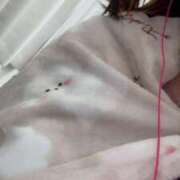 ヒメ日記 2026/04/28 03:26 投稿 あずき 愛姫～ラブひめ～