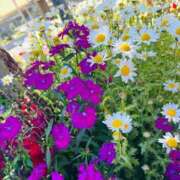 ヒメ日記 2026/06/21 18:06 投稿 あずき 愛姫～ラブひめ～