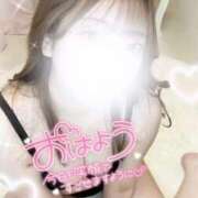 ヒメ日記 2026/04/11 20:29 投稿 いくみ パラダイス！ときめき♡ギャルモード