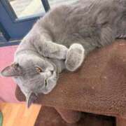 ヒメ日記 2026/03/01 22:19 投稿 宮内まりか お姉さんCLUB