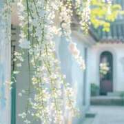 ヒメ日記 2026/03/05 11:18 投稿 宮内まりか お姉さんCLUB