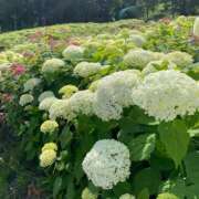 宮内まりか 楽しくい時間でした✨ お姉さんCLUB