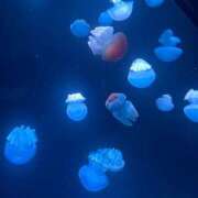 宮内まりか 出勤追加しました🍀 お姉さんCLUB