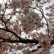 ヒメ日記 2026/04/06 21:41 投稿 ななこ 福岡ちゃんこ大牟田店