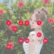 ヒメ日記 2026/07/21 21:57 投稿 らら 川崎ソープ SAPPHIER -サファイア-