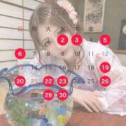ヒメ日記 2026/09/02 00:37 投稿 らら 川崎ソープ SAPPHIER -サファイア-