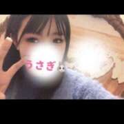 ヒメ日記 2026/02/24 18:00 投稿 うさぎ 錦糸町クリニック マイクロビキニ編