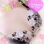 ヒメ日記 2026/04/10 09:34 投稿 あい 元町奥さま