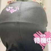 ヒメ日記 2026/02/25 18:00 投稿 佐藤～SATOU～ BBW名古屋店