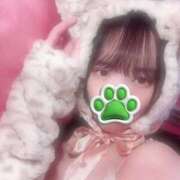 ヒメ日記 2026/04/08 15:52 投稿 ひいろ 宇都宮発～正統派清楚系デリヘル！ CHERIMO（シェリモ）