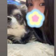 いこい あしたもいますー❣️ クラブハート