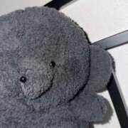 にこる ごめんなさい、、、 ワンダーホール24