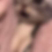 ヒメ日記 2026/03/31 17:31 投稿 つき 角海老宮殿