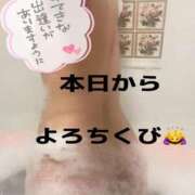 ヒメ日記 2026/02/17 08:21 投稿 もな SUZUME