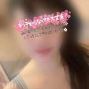 ヒメ日記 2026/03/12 14:09 投稿 もな SUZUME