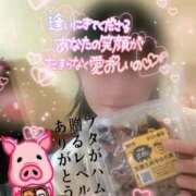 ヒメ日記 2026/03/16 07:14 投稿 もな SUZUME