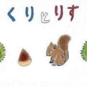 ヒメ日記 2026/03/29 08:09 投稿 もな SUZUME