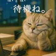 ヒメ日記 2026/04/14 07:59 投稿 もな SUZUME