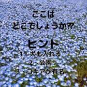 ヒメ日記 2026/04/14 14:11 投稿 もな SUZUME