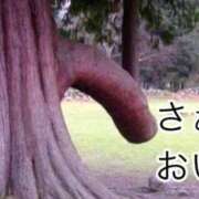 ヒメ日記 2026/04/16 13:19 投稿 もな SUZUME