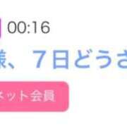 ヒメ日記 2026/05/07 07:02 投稿 もな SUZUME