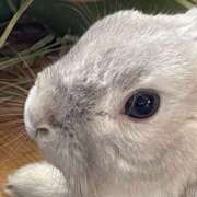 ヒメ日記 2026/04/05 11:10 投稿 るな ハピネス＆ドリーム 松山道後温泉