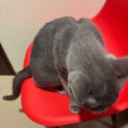 ヒメ日記 2026/04/09 12:58 投稿 るな ハピネス＆ドリーム 松山道後温泉