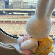 ほたる ♡お願いします 渋谷角海老