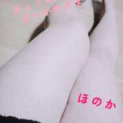 ヒメ日記 2026/02/19 02:37 投稿 加藤ほのか 大阪ぽっちゃり妻 谷九店