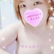 ヒメ日記 2026/03/13 01:48 投稿 加藤ほのか 大阪ぽっちゃり妻 谷九店