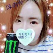 加藤ほのか おはよう(*ˊᵕˋ*) 大阪ぽっちゃり妻 谷九店