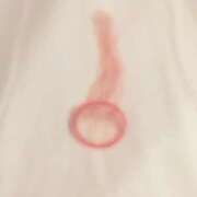 ヒメ日記 2026/02/16 20:08 投稿 蘭(ラン) ドラキュラクイーン