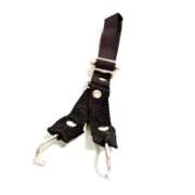 ヒメ日記 2026/02/20 14:25 投稿 蘭(ラン) ドラキュラクイーン