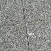 ヒメ日記 2026/02/21 13:52 投稿 蘭(ラン) ドラキュラクイーン