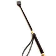 ヒメ日記 2026/02/26 13:12 投稿 蘭(ラン) ドラキュラクイーン