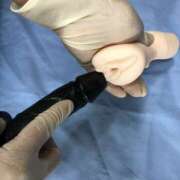 ヒメ日記 2026/03/03 16:28 投稿 蘭(ラン) ドラキュラクイーン