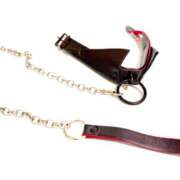 ヒメ日記 2026/03/07 18:08 投稿 蘭(ラン) ドラキュラクイーン