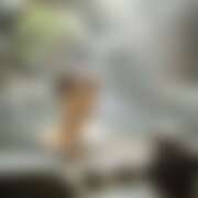 ヒメ日記 2026/03/06 20:48 投稿 蘭(ラン) ドラキュラクイーン