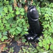 ヒメ日記 2026/03/19 12:38 投稿 蘭(ラン) ドラキュラクイーン