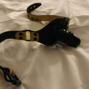 ヒメ日記 2026/03/22 12:49 投稿 蘭(ラン) ドラキュラクイーン