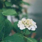 ヒメ日記 2026/05/24 06:49 投稿 あいな 一夜妻