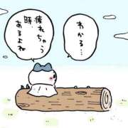 ヒメ日記 2026/07/09 06:19 投稿 あいな 一夜妻