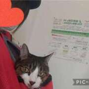 ヒメ日記 2026/02/25 14:55 投稿 ゆりあ 所沢東村山ちゃんこ